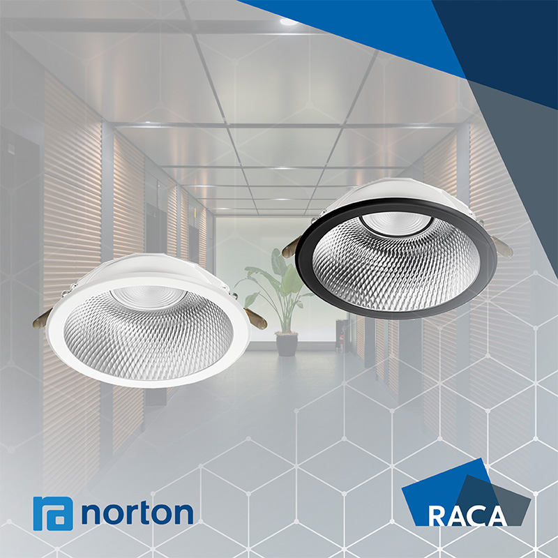 Raca_Norton